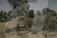 Israeli demolitions leave Bedouin homeless