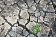 Kakhovka reservoir 1 year after dam breach