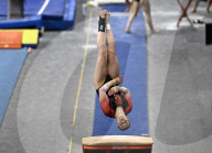 Womens Gymnastics Championships, Gatineau, Can - 07 Jun 2024