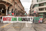 Torino, Corteo cittadino per il Cessate Il Fuoco a Gaza