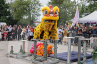Chinese High Pole Lion Dance In Markham