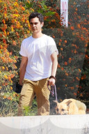 *EXCLUSIVE* Max Minghella takes a stroll with his dog in Los Feliz