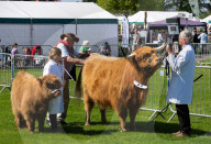 South of England Show 2024 at Ardingly, West Sussex, UK.
