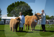 South of England Show 2024 at Ardingly, West Sussex, UK.