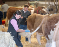 South of England Show 2024 at Ardingly, West Sussex, UK.