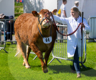 South of England Show 2024 at Ardingly, West Sussex, UK.