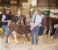 South of England Show 2024 at Ardingly, West Sussex, UK.