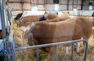 South of England Show 2024 at Ardingly, West Sussex, UK.