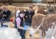 South of England Show 2024 at Ardingly, West Sussex, UK.