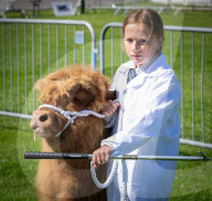 South of England Show 2024 at Ardingly, West Sussex, UK.