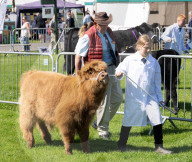 South of England Show 2024 at Ardingly, West Sussex, UK.