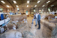 South of England Show 2024 at Ardingly, West Sussex, UK.