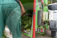 Sant Quinti de Mediona Dismantling of a marijuana plantation