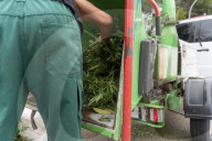 Sant Quinti de Mediona Dismantling of a marijuana plantation