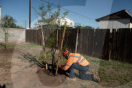 US's hottest city turns to trees to cool those most in need