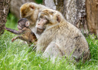 FEATURE - SN_BABIES_BORN_16