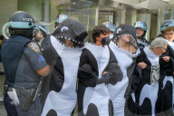 NYPD vs Orcas at Citi Headquarters, New York, Us - 11 Jun 2024