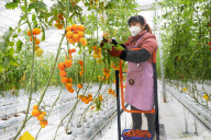 Smart Agriculture in Chongqing