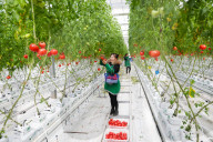 Smart Agriculture in Chongqing