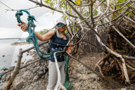 'Currents bring life - and plastics': animals of Galapagos live amid mounds of waste