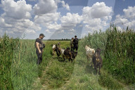 In Ukraine, pensioners living on the frontlines of Russia’s assault
