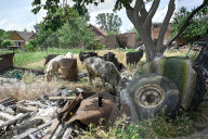 In Ukraine, pensioners living on the frontlines of Russia’s assault