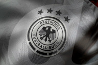 Close up DFB Logo