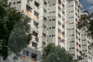 The cat in the flat: Singapore lifts ban on pets in public housing