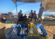 Gazans fish for food