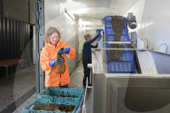 Kelp help? How Scotland's seaweed growers are aiming to revolutionise what we buy.