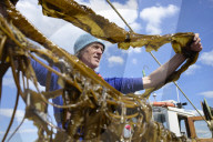 Kelp help? How Scotland's seaweed growers are aiming to revolutionise what we buy.