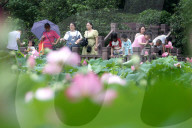 Lotus Tour in Fuzhou