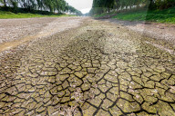 High-temperature Drought in Henan