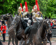 Not my king protest Trooping the Colour 2024 in London., The Mall, London, UK - 15 Jun 2024