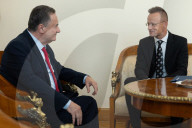 Israeli Foreign Minister in Hungary