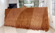 Hair raising  wig is world's widest