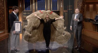 Hair raising  wig is world's widest