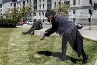 San Francisco Pigeon Rescue 