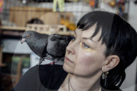 San Francisco Pigeon Rescue 