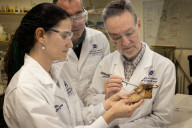 Bugs, drugs and electric venom: is this the most deadly library in the world?
Queensland's Institute for Molecular Bioscience