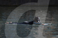 'Surfers Against Sewage' stage protest on the River Thames