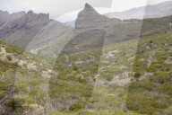 Focus on ravines as search for British tourist Jay Slater continues in Tenerife