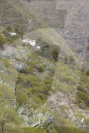 Focus on ravines as search for British tourist Jay Slater continues in Tenerife