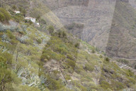Focus on ravines as search for British tourist Jay Slater continues in Tenerife