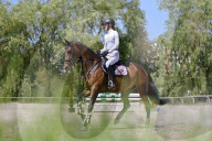 Equestrian competitions continue in Lviv
