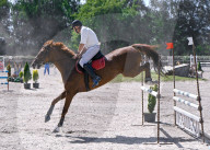 Equestrian competitions continue in Lviv