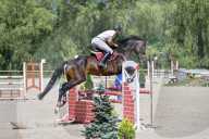 Equestrian competitions continue in Lviv