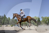 Equestrian competitions continue in Lviv