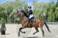 Equestrian competitions continue in Lviv