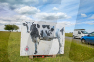 Minchinhampton the town in England where cattle roam free